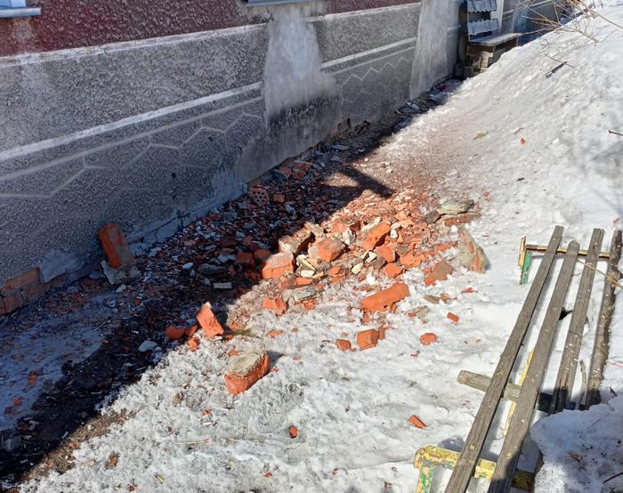 болотное2.jpeg болотное2.jpeg