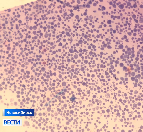 Исследование