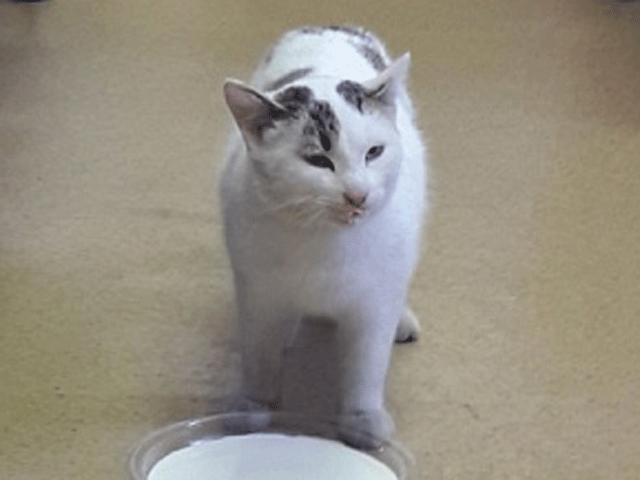 3c7d585049a96a4ec5b7e04e6fc042c0.gif