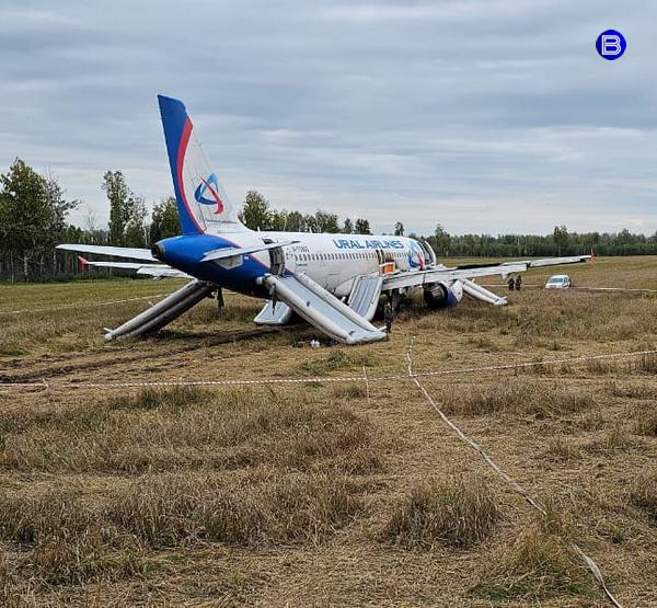 Самолет в поле