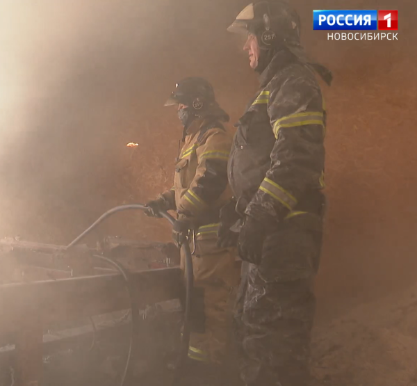 Пожарные Пожарные