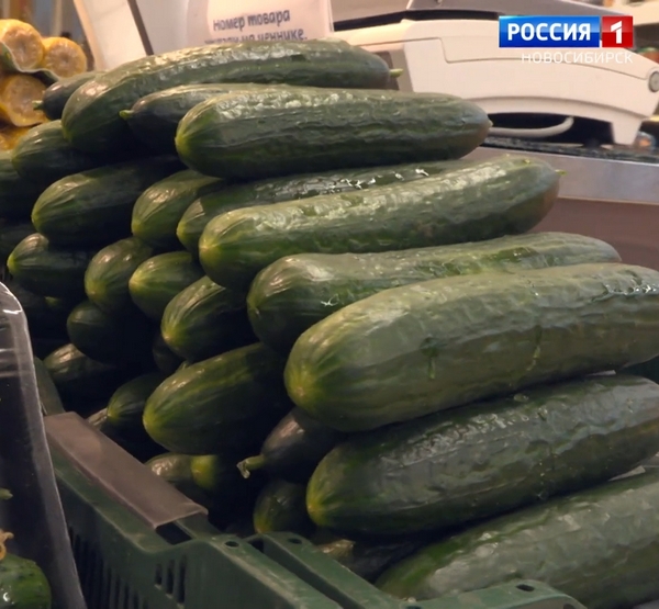 Огурцы на прилавке магазина