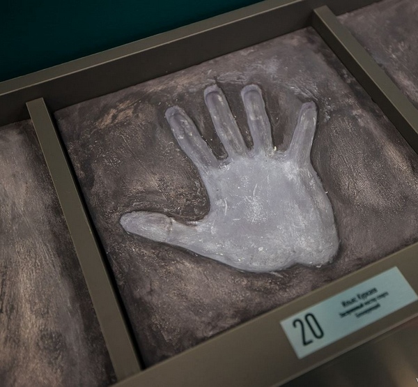 Отпечаток руки игрока новосибирской команды