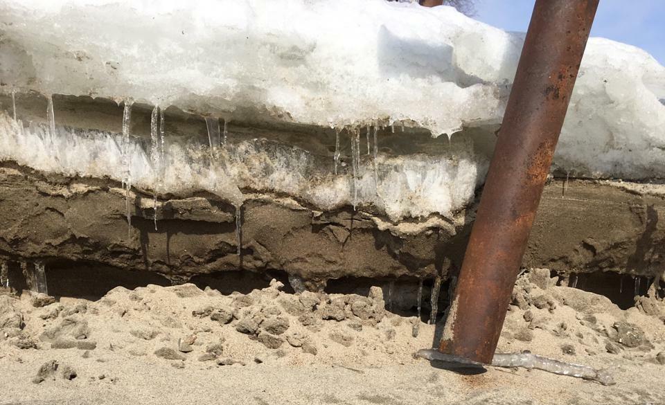 С каждым годом берег Оби разрушается все больше