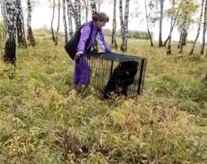 Медвежонок