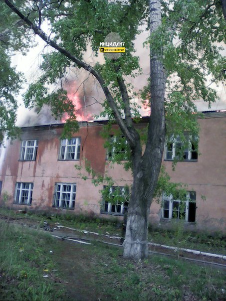 02.jpg