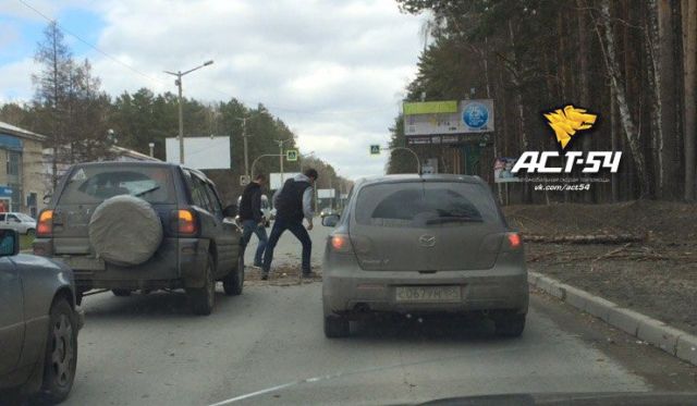 академ.jpg