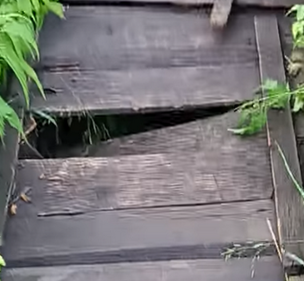 5tlgvm8efutqn8ldqc18s0j0g4l18kyf.png 5tlgvm8efutqn8ldqc18s0j0g4l18kyf.png