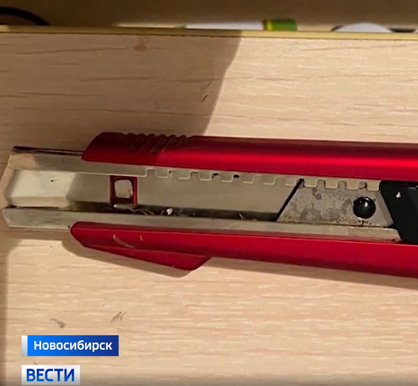 Орудие преступления нападавшей школьницы Орудие преступления нападавшей школьницы
