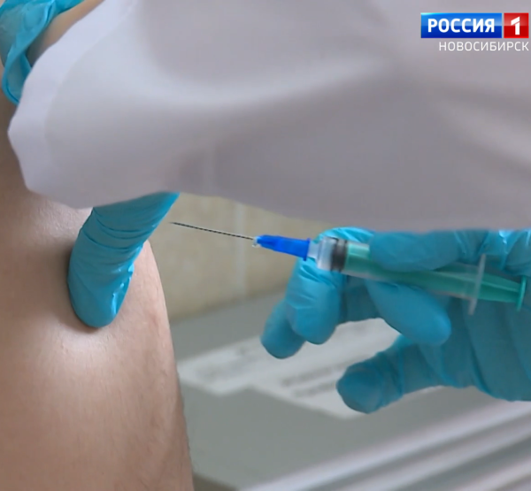 Прививка Прививка