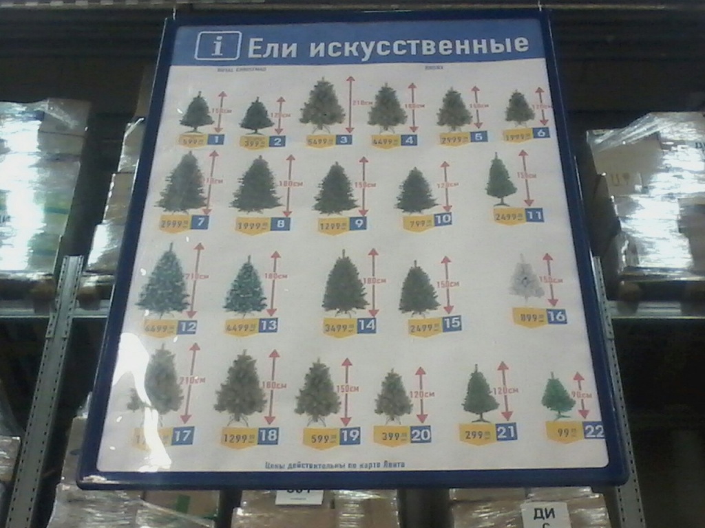 рас.jpg