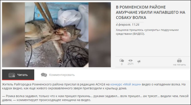 2020-02-07 11_38_43-В Ромненском районе амурчане убили напавшего на собаку волка.png 2020-02-07 11_38_43-В Ромненском районе амурчане убили напавшего на собаку волка.png