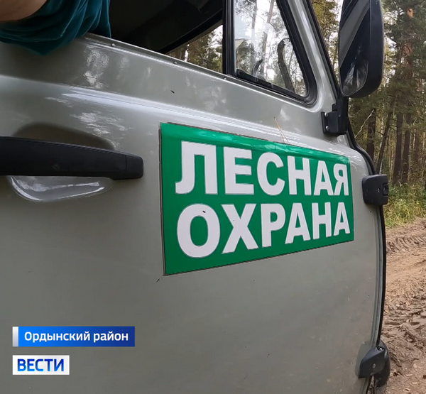 Пожары1.png