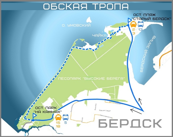 Тропа в Бердске Тропа в Бердске