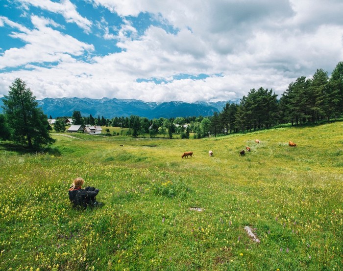 Пустой земельный участок