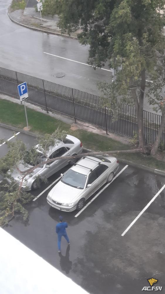 Непогода разгулялась Непогода разгулялась