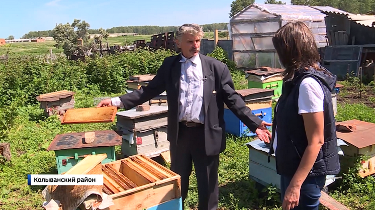 Пасечник на погибшей пасеке 