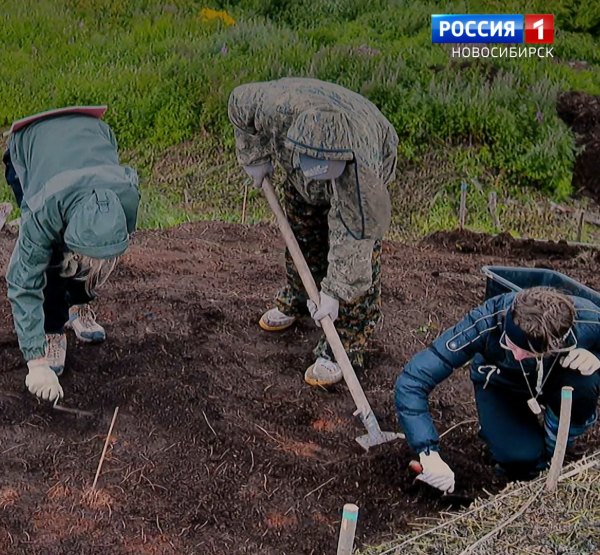 Раскопки Раскопки