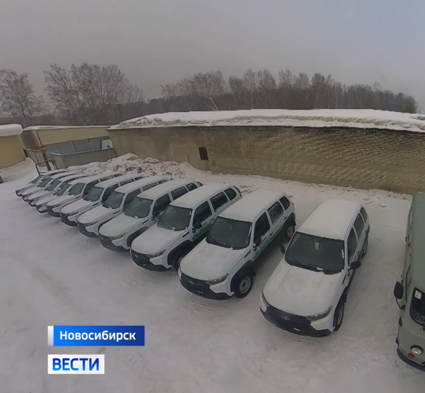 Автомобили