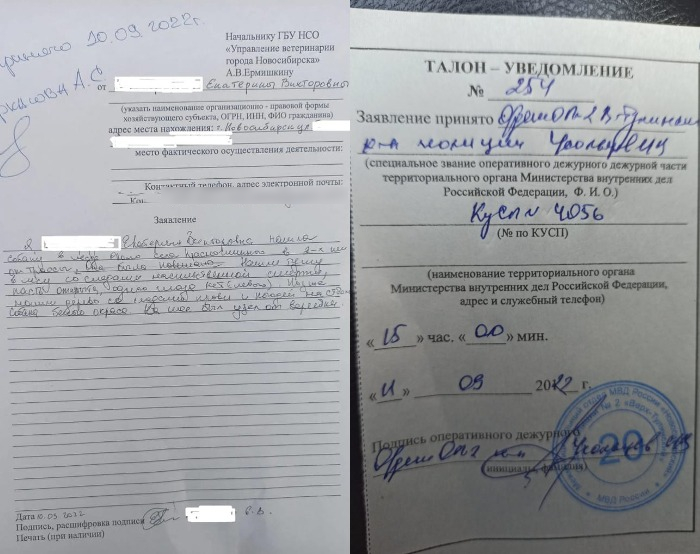 Докумеенты 1 фото.jpg