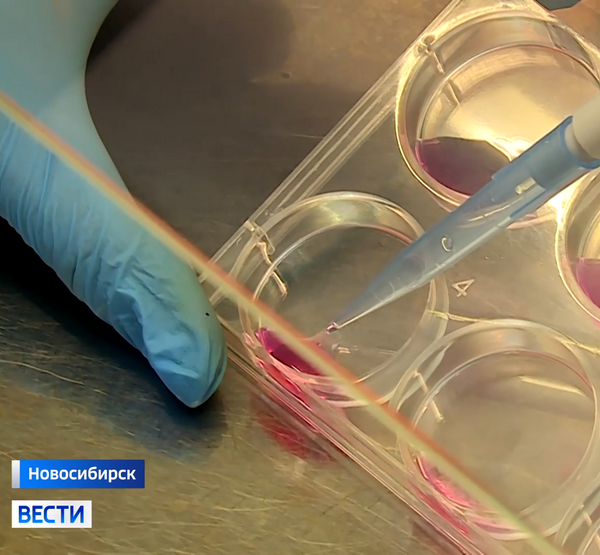 Накапывают вещество для исследования 