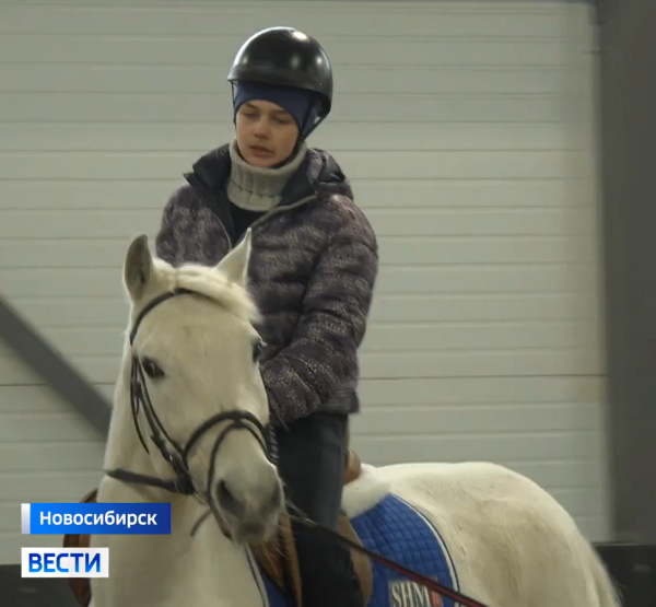 Иппотерапия Иппотерапия