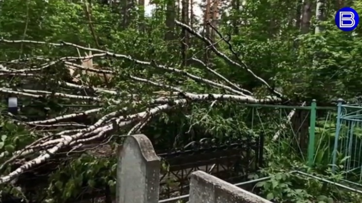 Разрушения на кладбище Разрушения на кладбище
