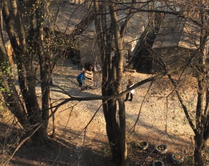 Зорге 2 фото.png