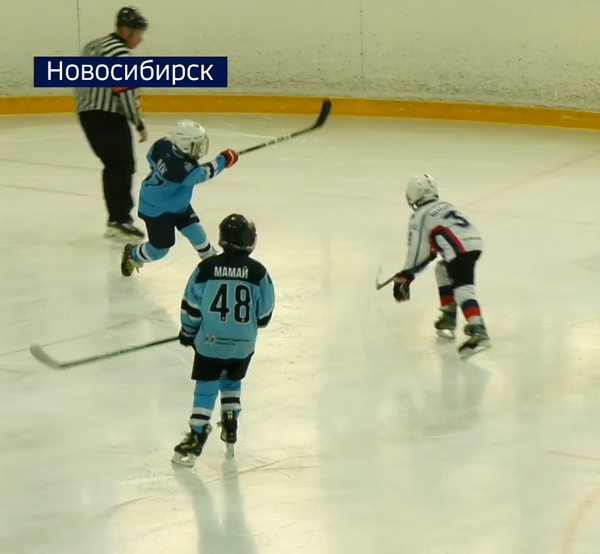 Игровой момент хоккейного матча