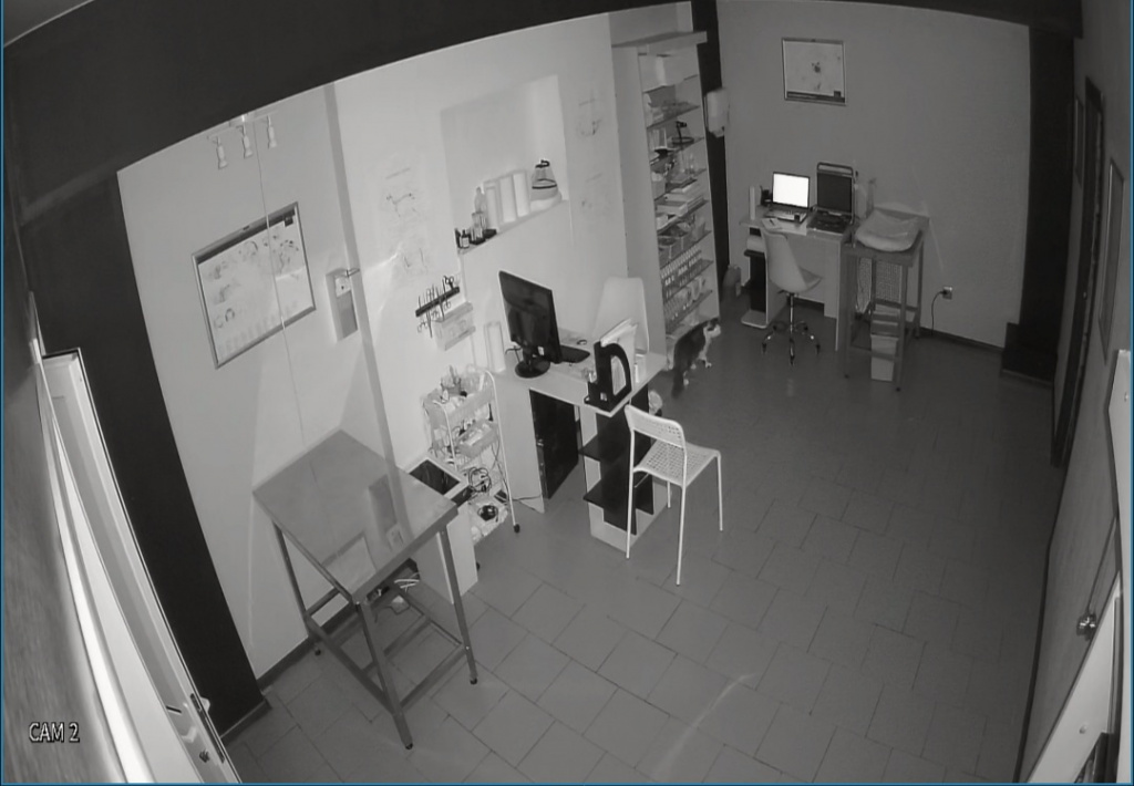 Гвардейцы не стали передавать нарушителя в полицию