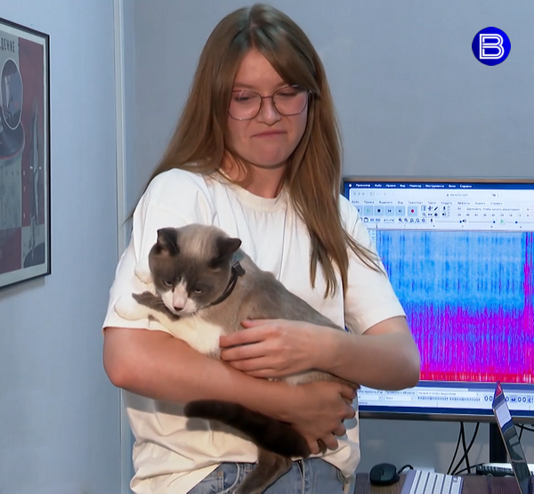 Девушка держит кота на руках