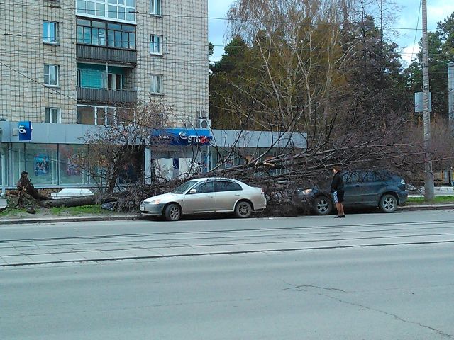 сибирь.jpg