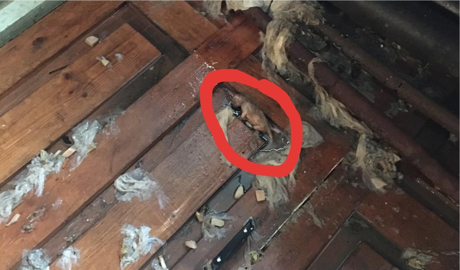 photoeditorsdk-export - 2020-04-27T171601.762.png photoeditorsdk-export - 2020-04-27T171601.762.png