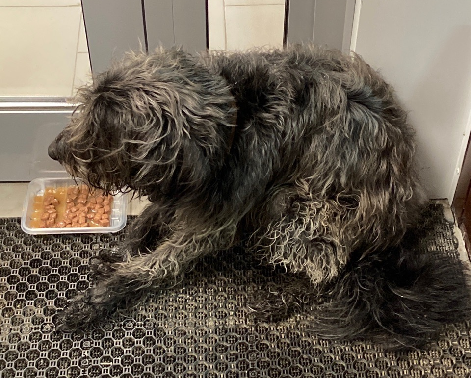 photoeditorsdk-export - 2019-12-26T112035.494.png