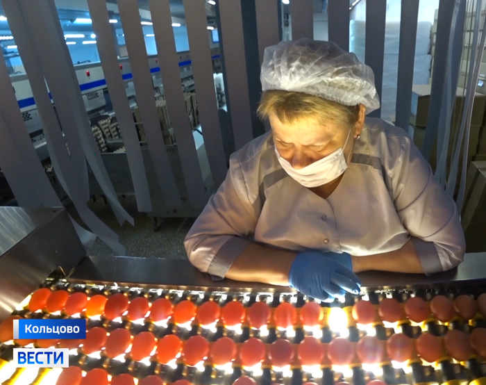 Проверка яиц на птицефабрике Проверка яиц на птицефабрике