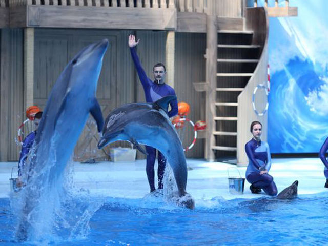 dolphinarium_01.jpg