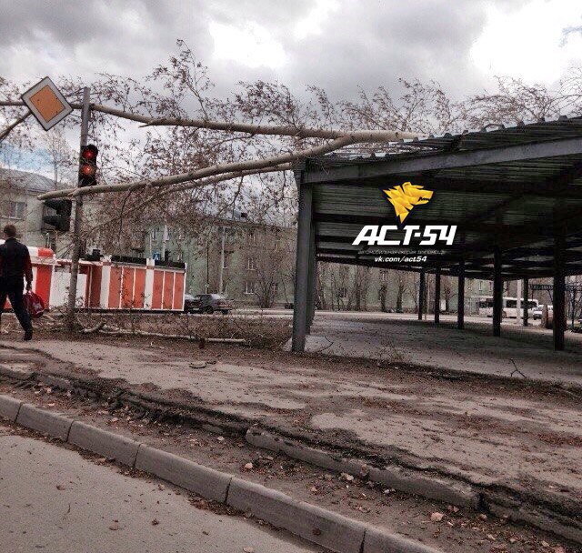 забалуева.jpg