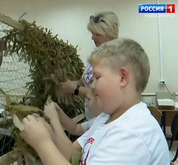 для спецоперации