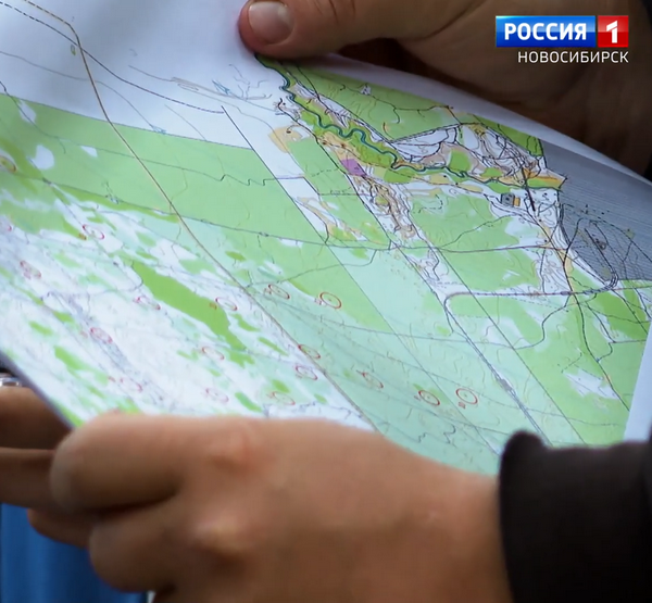 заельцовский бор.png