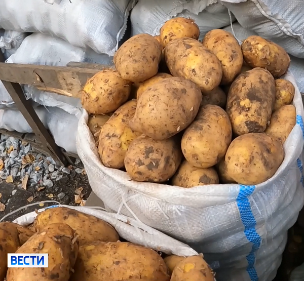 Нелегальный картофель в мешках