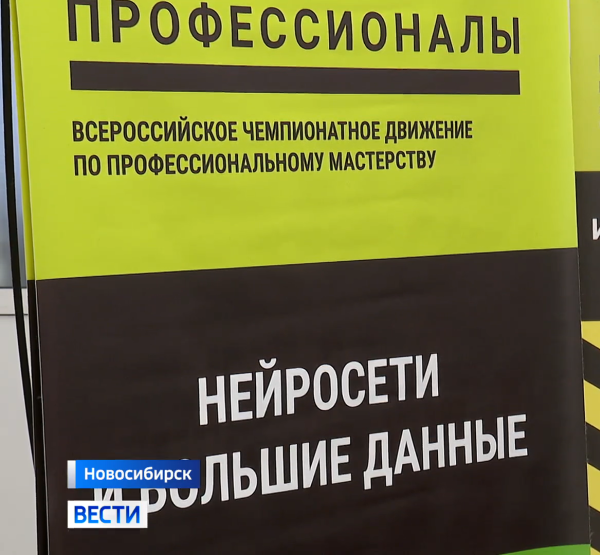 Профессионалы Профессионалы