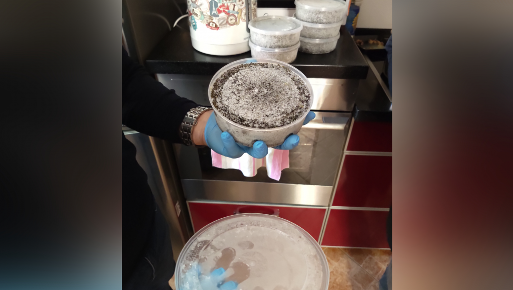 photoeditorsdk-export - 2020-11-24T125007.404.png