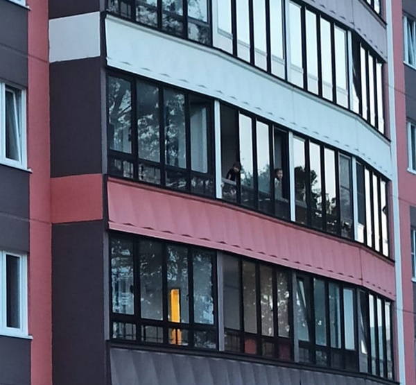 Дети в окне