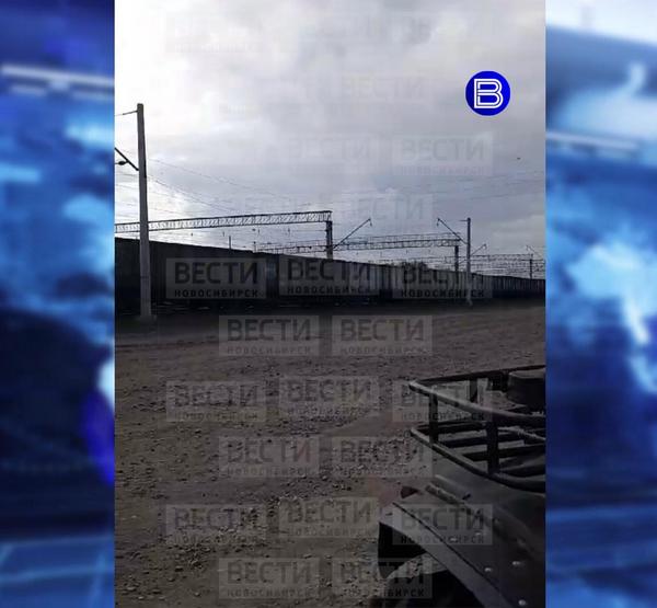 Медведь в Чулыме Медведь в Чулыме