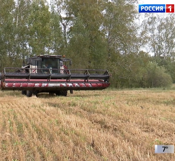 Сельское хозяйство