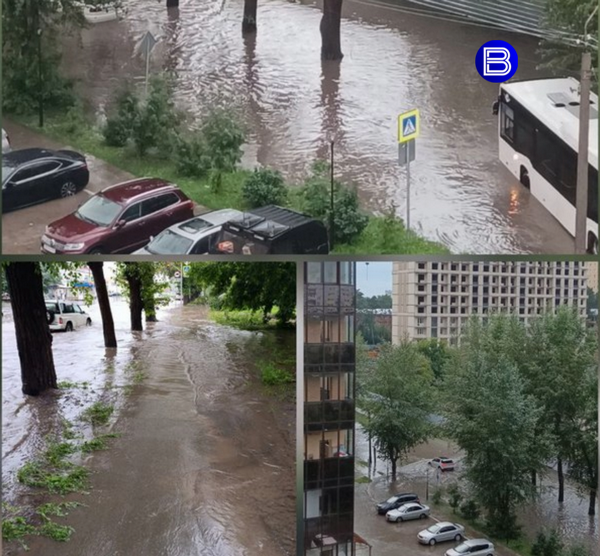 лив.png лив.png
