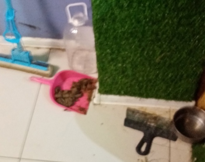 sj1RnDlKw6g.jpg sj1RnDlKw6g.jpg
