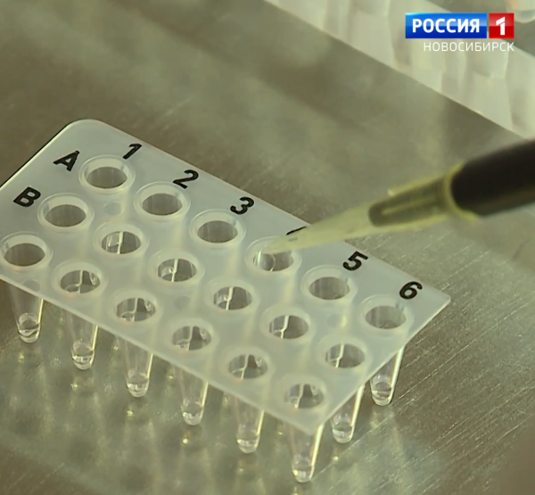 Исследования Исследования