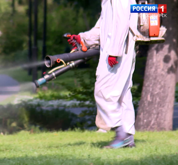 Обработка Обработка