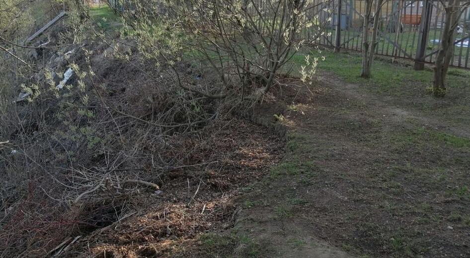 В ход идет даже убранная с участков трава